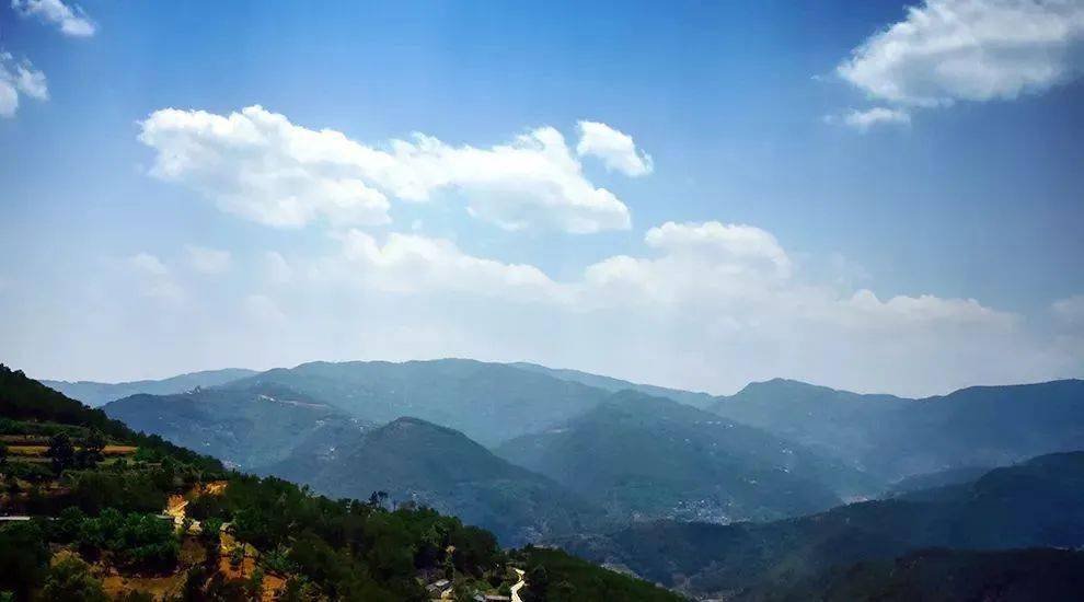 2023年勐庫(kù)大忠山古樹春茶價(jià)格是多少？