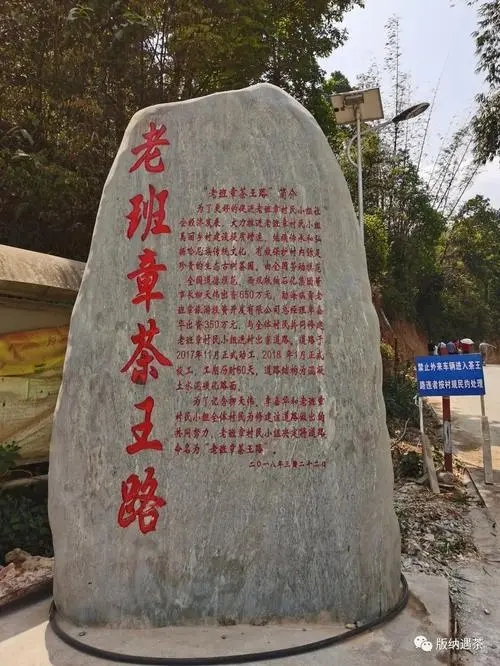 2024年老班章古樹春茶品質如何？