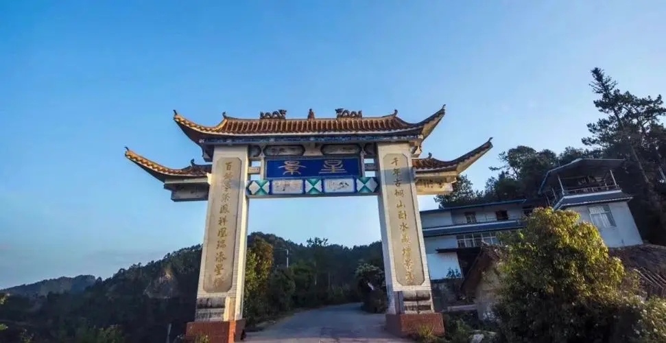 2024年墨江鳳凰窩古樹春茶特點(diǎn)是什么？