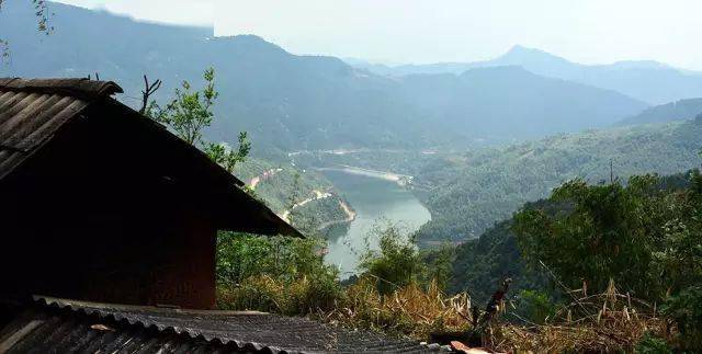 2024年磨烈古樹春茶價(jià)格多少？