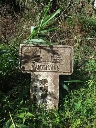 2025年蠻磚古樹(shù)春茶特點(diǎn)是什么？