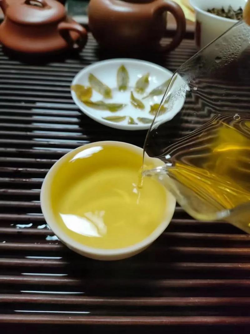 倚邦貢茶，甘甜醇柔